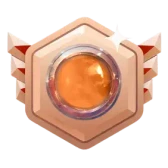 BOM88 medal